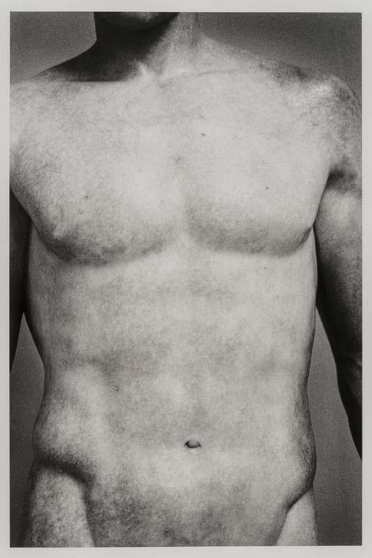 Marcellus, Louvre, Paris from the portfolio Artifact