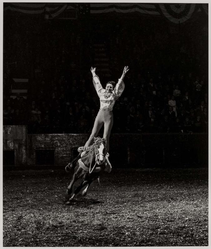 A Girl and her Horse