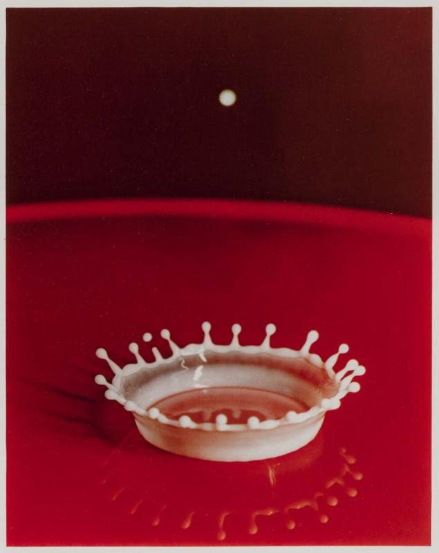 Splash of a Milk Drop from Seeing the Unseen