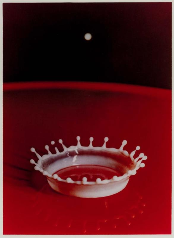 Milk Drop Coronet