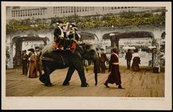 Riding the elephant, Coney Island, N. Y. 8974