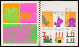 The Day-Glo Designer's Guide