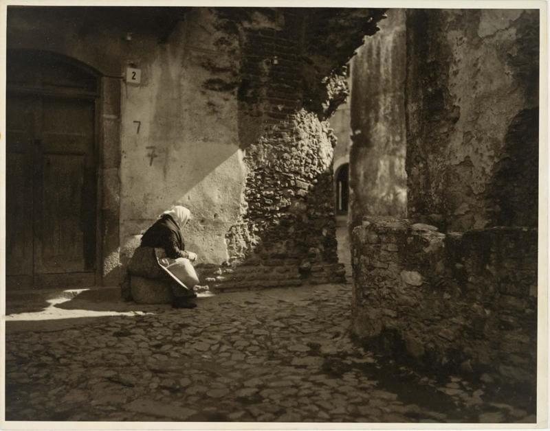 Warmth of the Winter Sun