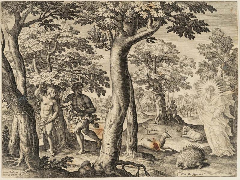 The History of the First Men: The fall of men