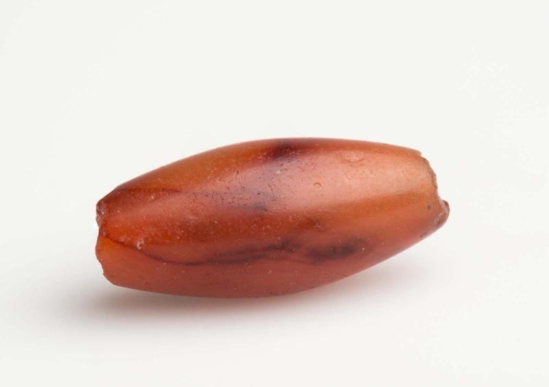 Bead