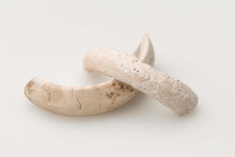Ring fragments