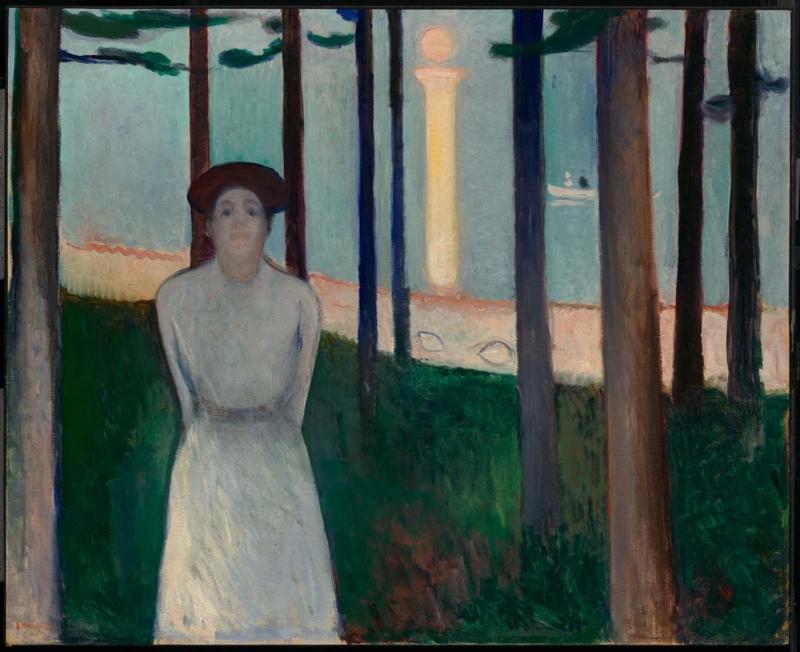Summer Night's Dream (The Voice)