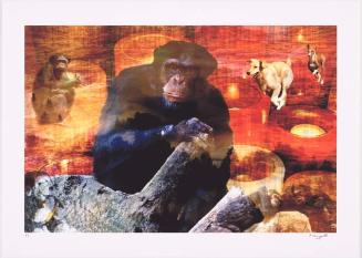 Jane Goodall