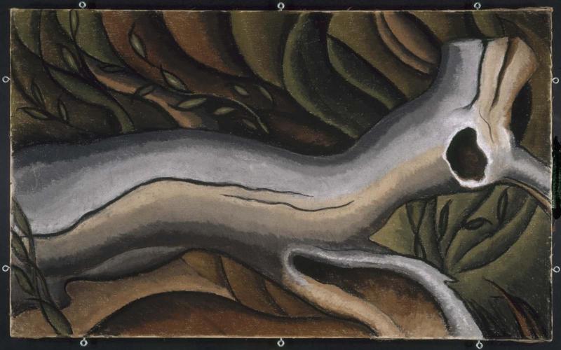 Tree Trunk
