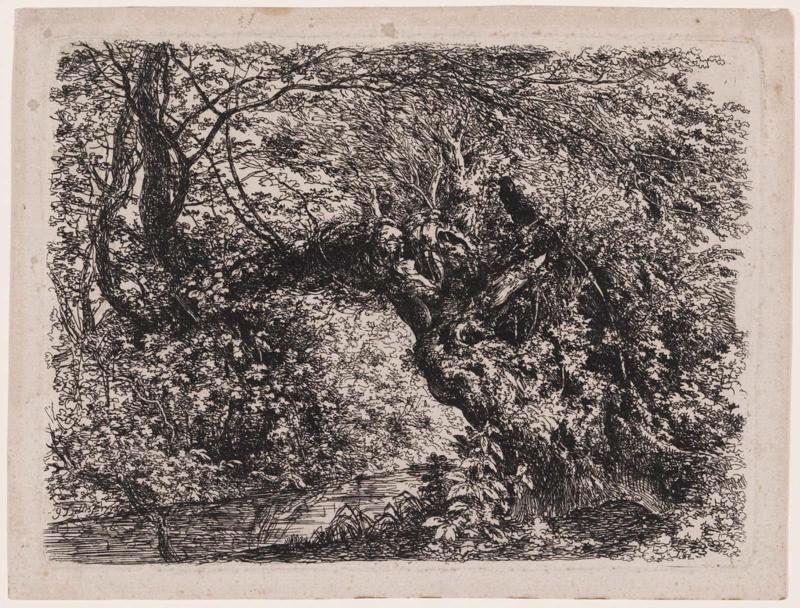 The Old Willow by the Stream