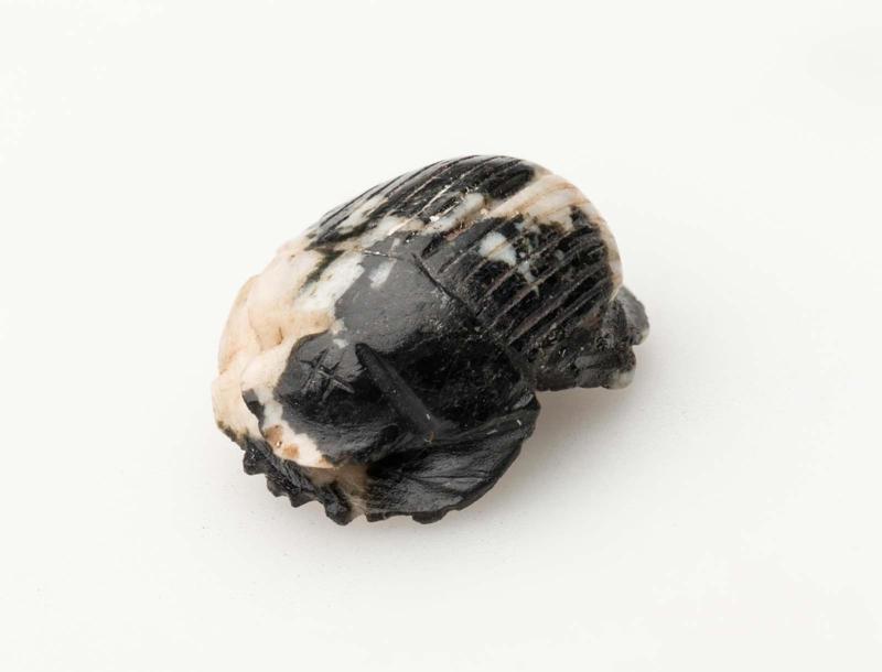 Scarab