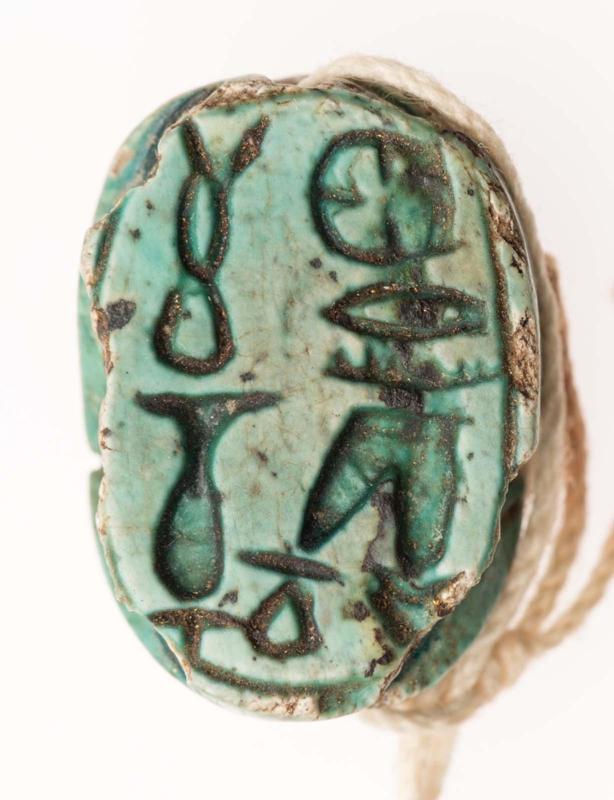 Scarab