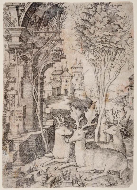 Three Stags in a Landscape