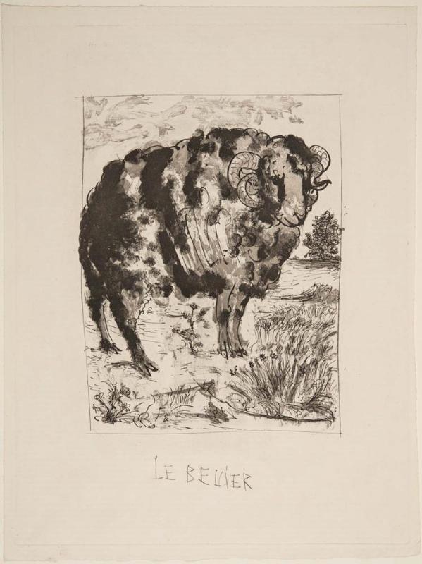 Le Belier (The Ram) (Buffon's Histoire Naturelle)