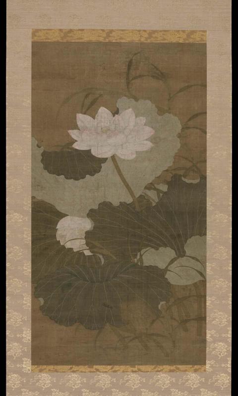Lotus flowers and leaves