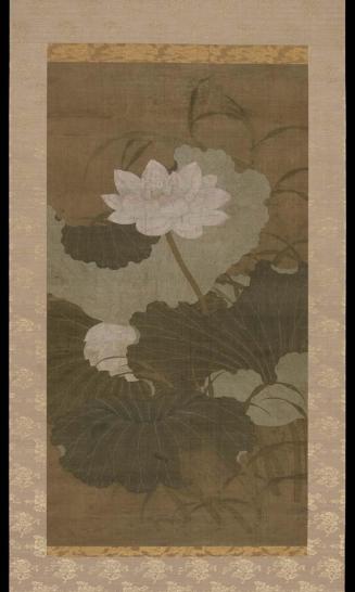Lotus flowers and leaves