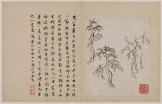 One leaf from an album of landscapes, rocks, and trees