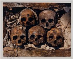 Five Skulls In A Box