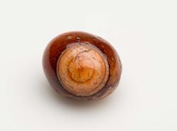 Pebble