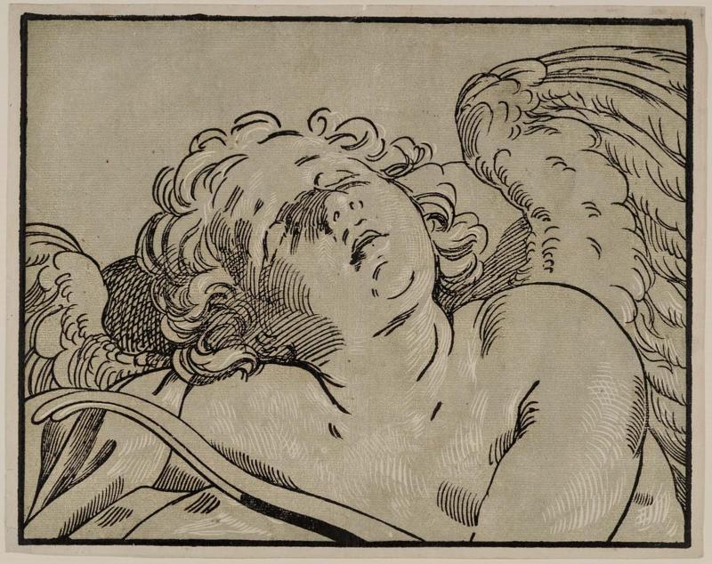 Sleeping Cupid