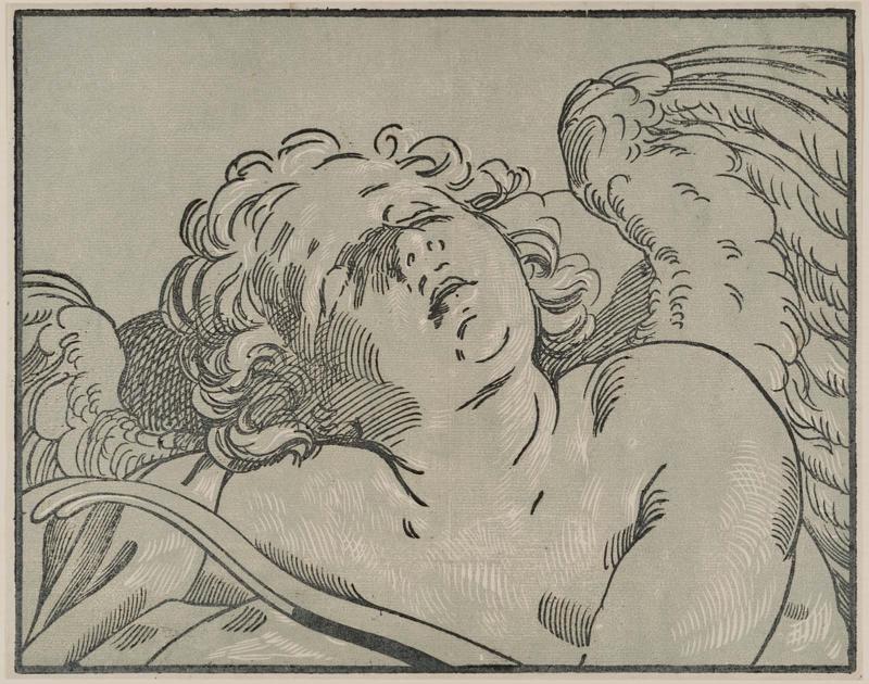 Sleeping Cupid