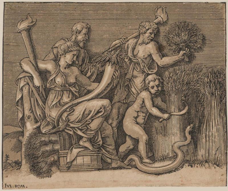 The Harvest