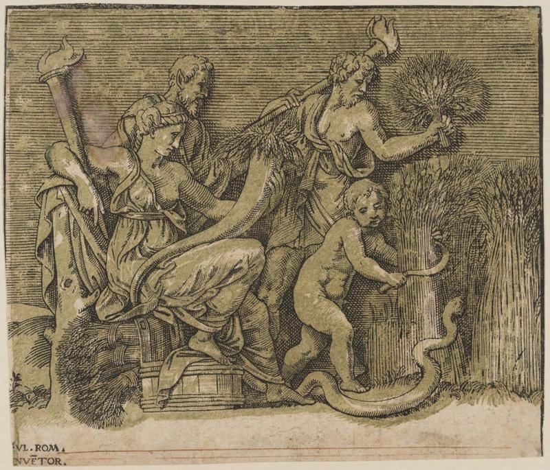 The Harvest