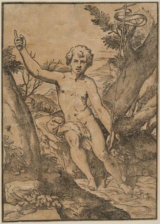 St. John the Baptist Preaching in the Wilderness