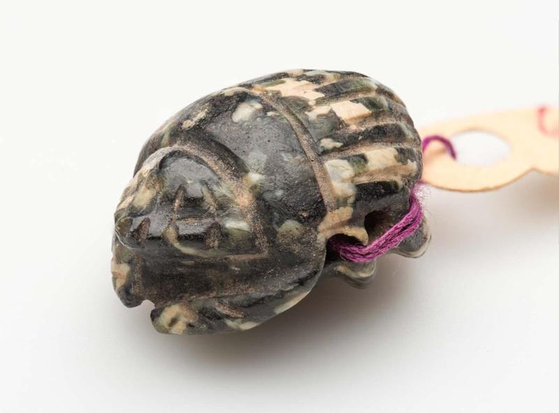 Naturalistic scarab