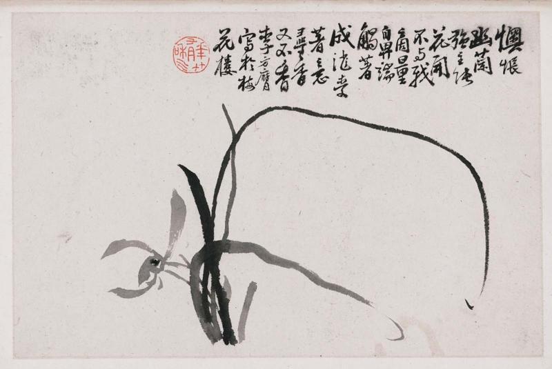 Orchids