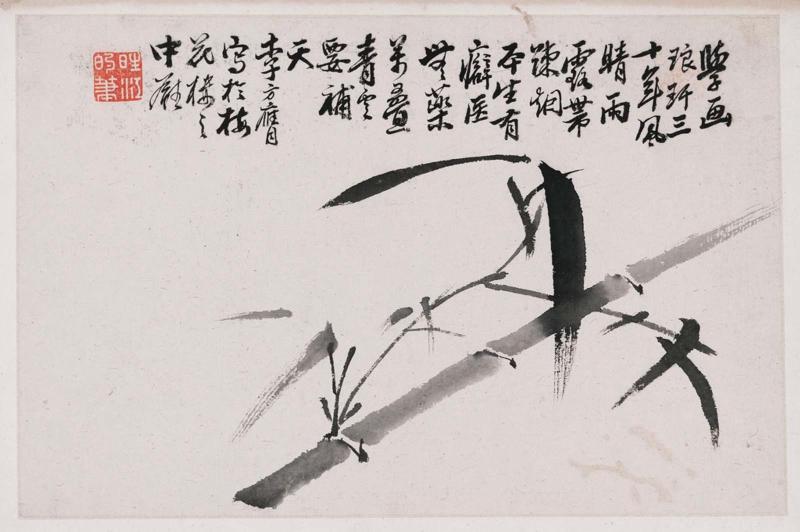 Bamboo