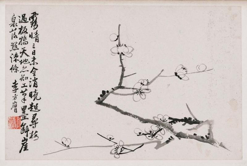 Plum blossoms