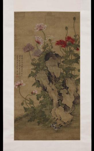 Poppies, rocks, and birds