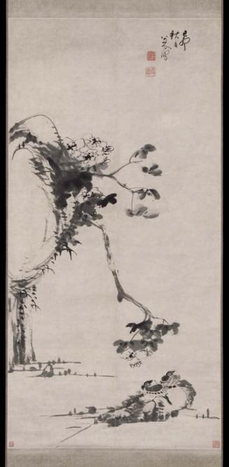 Hibiscus on cliff and two birds on rock