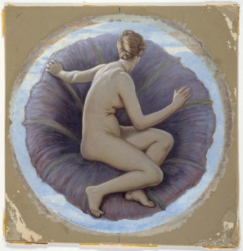 The Morning Glory