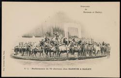 No. 2 - Performance de 70 chevauz chez BARNUM & BAILEY.