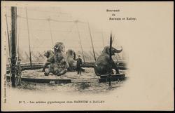 No. 7 - Les artistes gigantesque chez BARNUM & BAILEY.