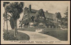 "IVY WALL," RESIDENCE OF MRS. ADOLPHUS BUSCH (UPPER GARDEN). THE BUSCH GARDENS. PASADENA, CALIFORNIA.