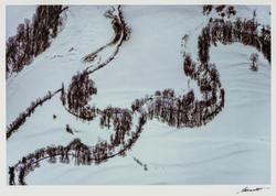 Frozen Stream with Dormant Tree and Shadows, Bethel, Maine from the portfolio Color Nature Landscapes I