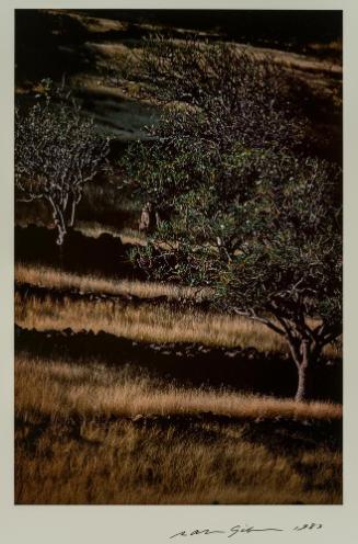 St. Bart's, French West Indies from the portfolio Color Nature Landscapes I