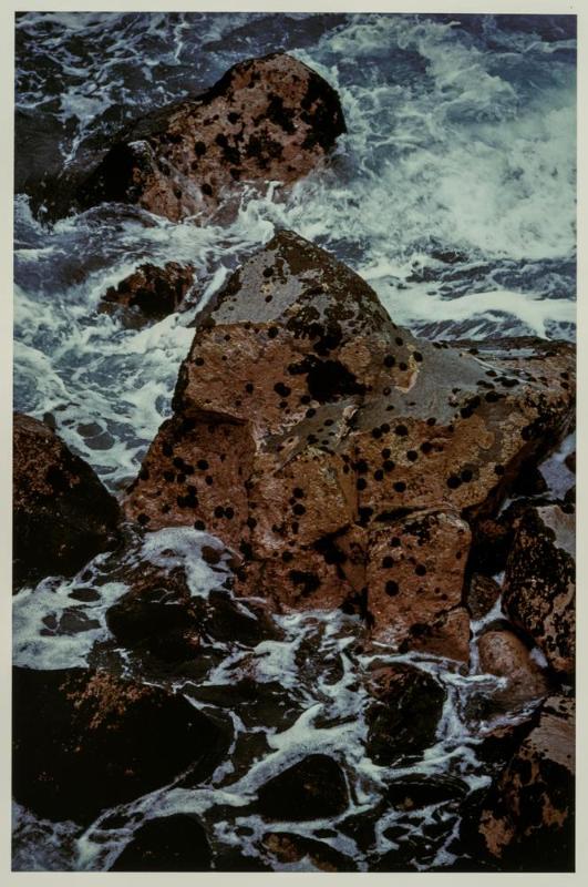 Enchanted Pointe, Hawaii from portfolio Color Nature Landscapes II