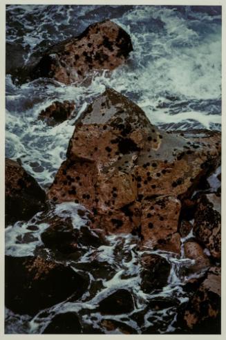 Enchanted Pointe, Hawaii from portfolio Color Nature Landscapes II