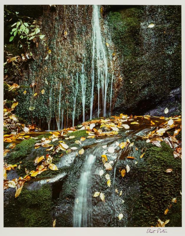 Running Water, Roaring Fork Road, Great Smokey Mountains, 10 Oct. 1967 from portfolio Color Nature Landscapes II