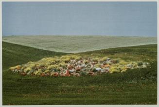Emilia from portfolio Color Nature Landscapes II
