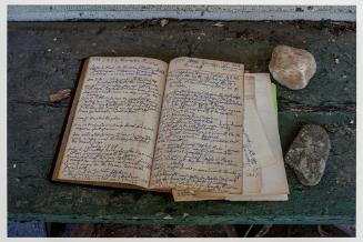 Forest Road, garden record