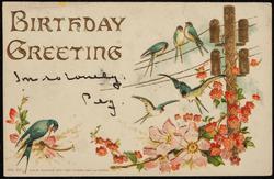 BIRTHDAY GREETING