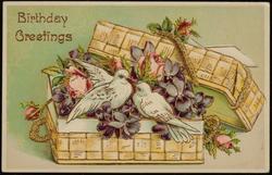 Birthday Greetings