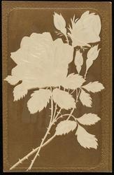 Embossed white rose with gold metallic background and embossed frame