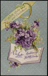 With Love and Devotion. Violet Emblem of Faithfulness