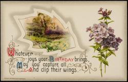 Whatever joys your BIRTHDAY brings, May you capture all, And clip their wings